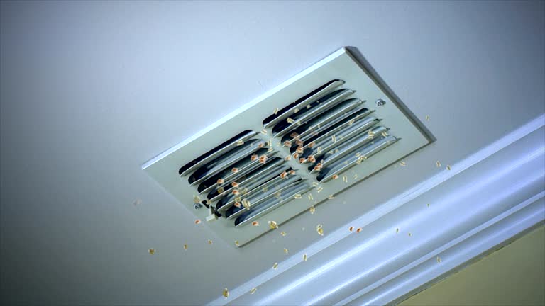 Best Commercial Air Duct Cleaning  in Fannett, TX