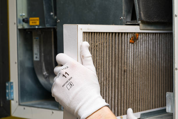 Best Affordable Duct Cleaning Services  in Fannett, TX