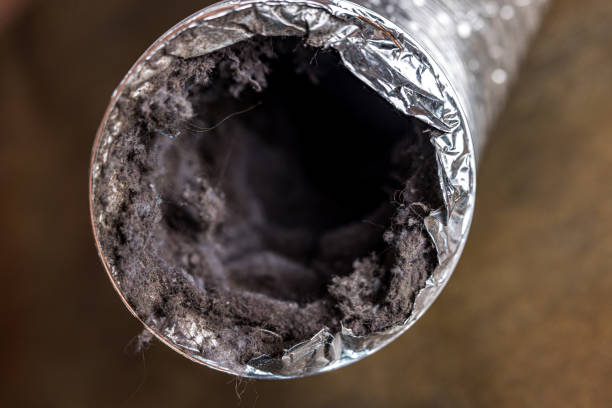 Best Air Duct Cleaning Near Me  in Fannett, TX