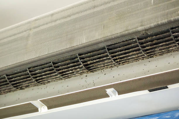 Best Commercial Air Duct Cleaning  in Fannett, TX